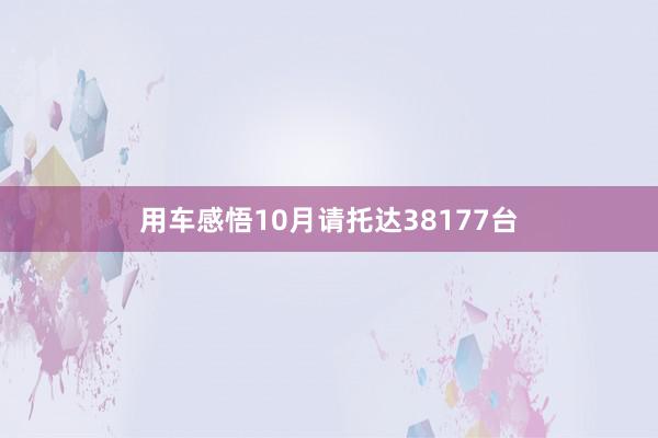 用车感悟10月请托达38177台