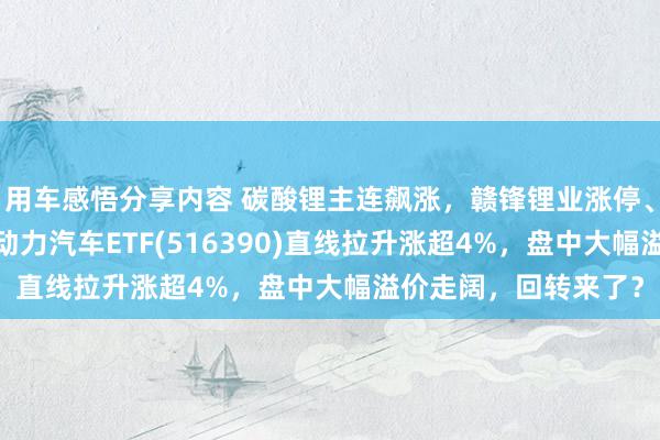 用车感悟分享内容 碳酸锂主连飙涨，赣锋锂业涨停、宁德期间涨3%，新动力汽车ETF(516390)直线拉升涨超4%，盘中大幅溢价走阔，回转来了？