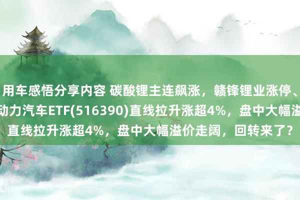 用车感悟分享内容 碳酸锂主连飙涨，赣锋锂业涨停、宁德时期涨3%，新动力汽车ETF(516390)直线拉升涨超4%，盘中大幅溢价走阔，回转来了？