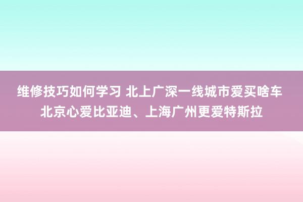 维修技巧如何学习 北上广深一线城市爱买啥车 北京心爱比亚迪、上海广州更爱特斯拉