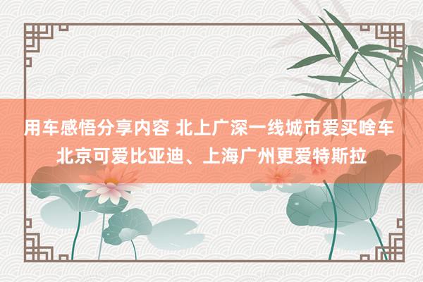 用车感悟分享内容 北上广深一线城市爱买啥车 北京可爱比亚迪、上海广州更爱特斯拉