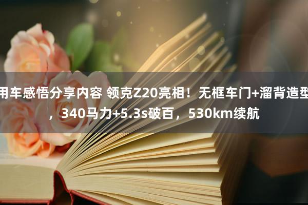 用车感悟分享内容 领克Z20亮相！无框车门+溜背造型，340马力+5.3s破百，530km续航