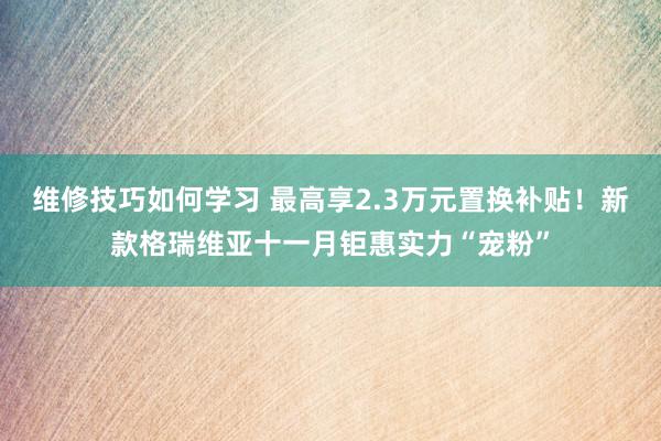 维修技巧如何学习 最高享2.3万元置换补贴！新款格瑞维亚十一月钜惠实力“宠粉”