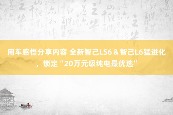 用车感悟分享内容 全新智己LS6＆智己L6猛进化，锁定“20万元级纯电最优选”