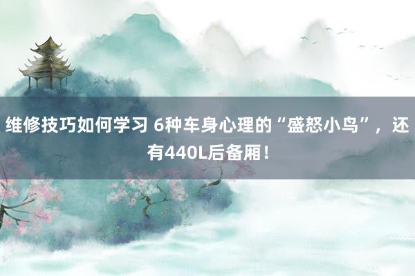 维修技巧如何学习 6种车身心理的“盛怒小鸟”，还有440L后备厢！