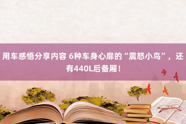 用车感悟分享内容 6种车身心扉的“震怒小鸟”，还有440L后备厢！