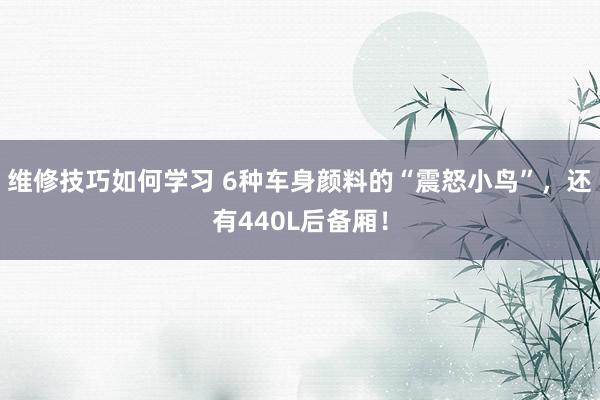 维修技巧如何学习 6种车身颜料的“震怒小鸟”，还有440L后备厢！