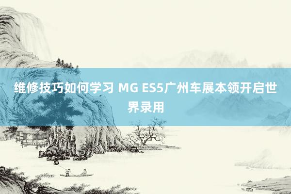 维修技巧如何学习 MG ES5广州车展本领开启世界录用