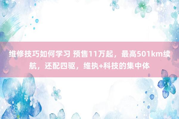 维修技巧如何学习 预售11万起，最高501km续航，还配四驱，维执+科技的集中体