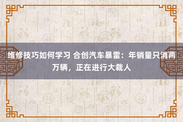 维修技巧如何学习 合创汽车暴雷：年销量只消两万辆，正在进行大裁人