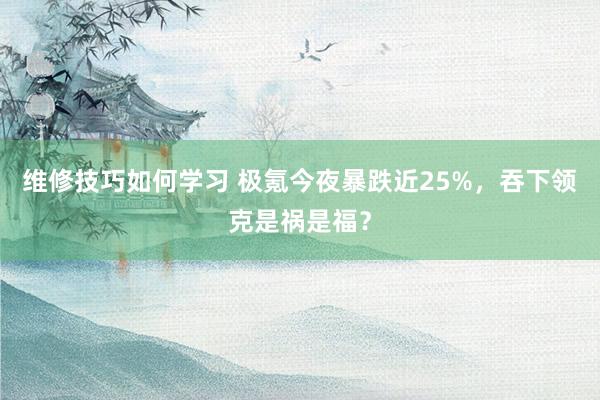 维修技巧如何学习 极氪今夜暴跌近25%，吞下领克是祸是福？