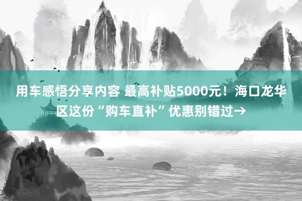 用车感悟分享内容 最高补贴5000元！海口龙华区这份“购车直补”优惠别错过→