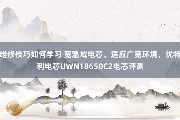 维修技巧如何学习 宽温域电芯、适应广宽环境，优特利电芯UWN18650C2电芯评测