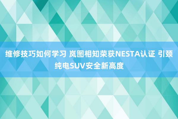 维修技巧如何学习 岚图相知荣获NESTA认证 引颈纯电SUV安全新高度