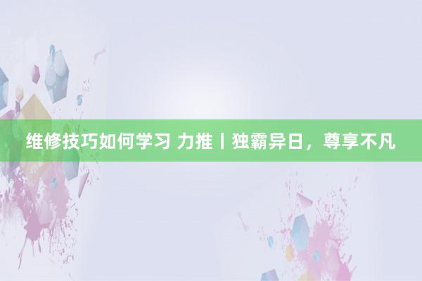 维修技巧如何学习 力推丨独霸异日，尊享不凡