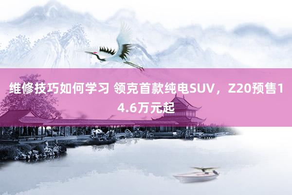 维修技巧如何学习 领克首款纯电SUV，Z20预售14.6万元起