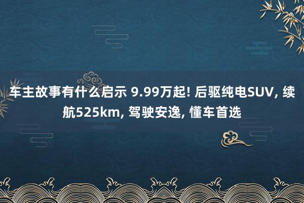 车主故事有什么启示 9.99万起! 后驱纯电SUV, 续航525km, 驾驶安逸, 懂车首选