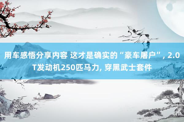 用车感悟分享内容 这才是确实的“豪车屠户”, 2.0T发动机250匹马力, 穿黑武士套件