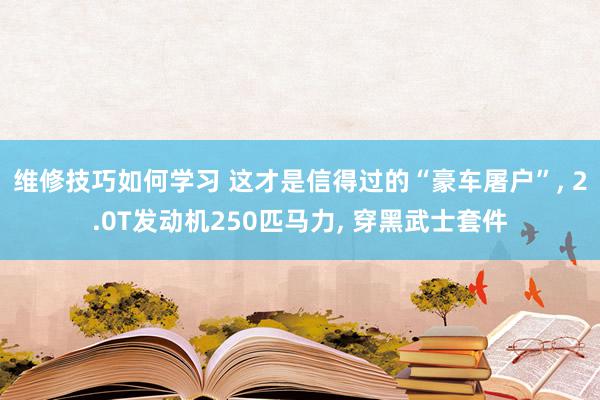 维修技巧如何学习 这才是信得过的“豪车屠户”, 2.0T发动机250匹马力, 穿黑武士套件