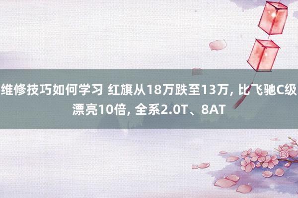 维修技巧如何学习 红旗从18万跌至13万, 比飞驰C级漂亮10倍, 全系2.0T、8AT