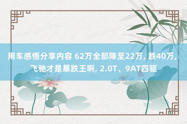 用车感悟分享内容 62万全部降至22万, 跌40万, 飞驰才是暴跌王啊, 2.0T、9AT四驱