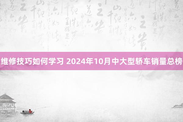 维修技巧如何学习 2024年10月中大型轿车销量总榜