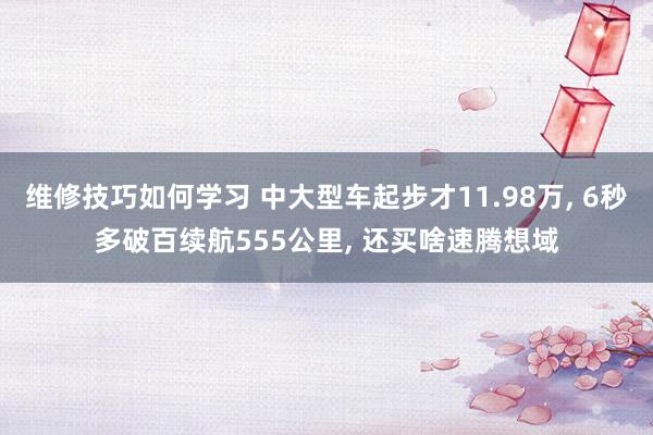 维修技巧如何学习 中大型车起步才11.98万, 6秒多破百续航555公里, 还买啥速腾想域