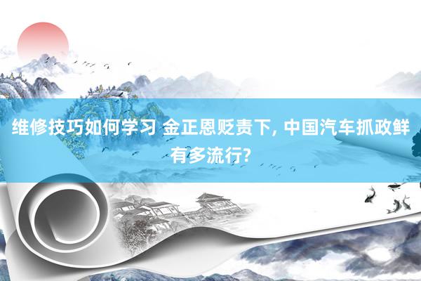 维修技巧如何学习 金正恩贬责下, 中国汽车抓政鲜有多流行?