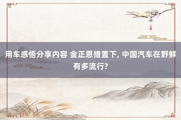 用车感悟分享内容 金正恩措置下, 中国汽车在野鲜有多流行?