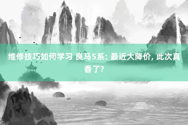 维修技巧如何学习 良马5系: 最近大降价, 此次真香了?