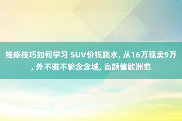 维修技巧如何学习 SUV价钱跳水, 从16万现卖9万, 外不雅不输念念域, 高颜值欧洲范