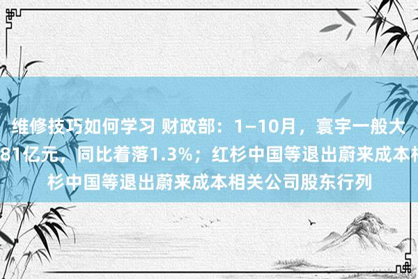 维修技巧如何学习 财政部：1—10月，寰宇一般大众预算收入184981亿元，同比着落1.3%；红杉中国等退出蔚来成本相关公司股东行列