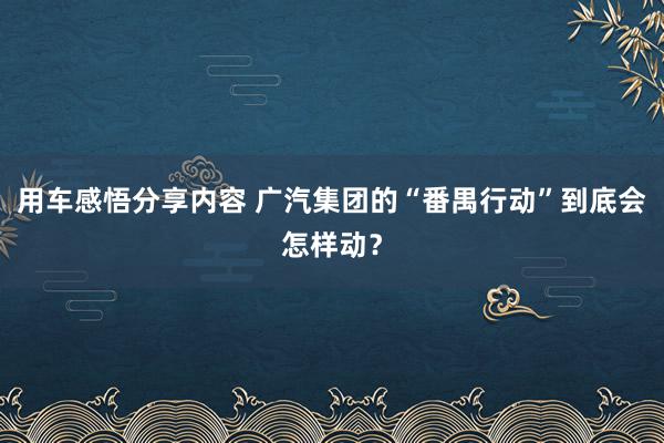 用车感悟分享内容 广汽集团的“番禺行动”到底会怎样动？