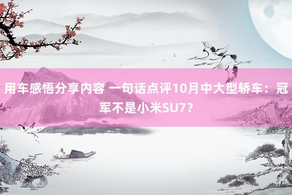 用车感悟分享内容 一句话点评10月中大型轿车：冠军不是小米SU7？