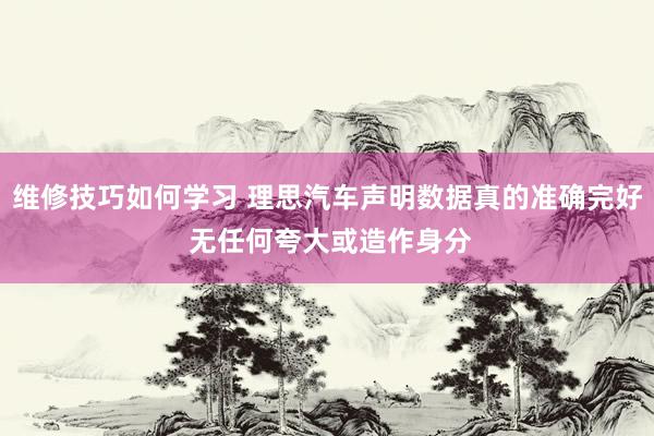 维修技巧如何学习 理思汽车声明数据真的准确完好 无任何夸大或造作身分