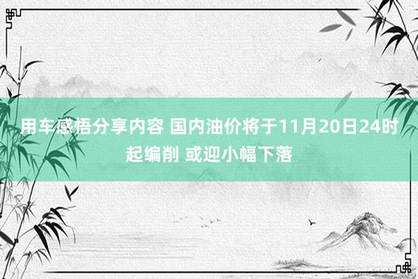 用车感悟分享内容 国内油价将于11月20日24时起编削 或迎小幅下落