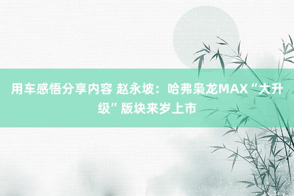 用车感悟分享内容 赵永坡：哈弗枭龙MAX“大升级”版块来岁上市