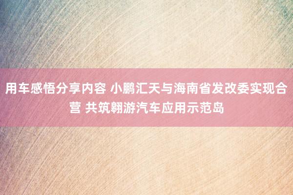 用车感悟分享内容 小鹏汇天与海南省发改委实现合营 共筑翱游汽车应用示范岛