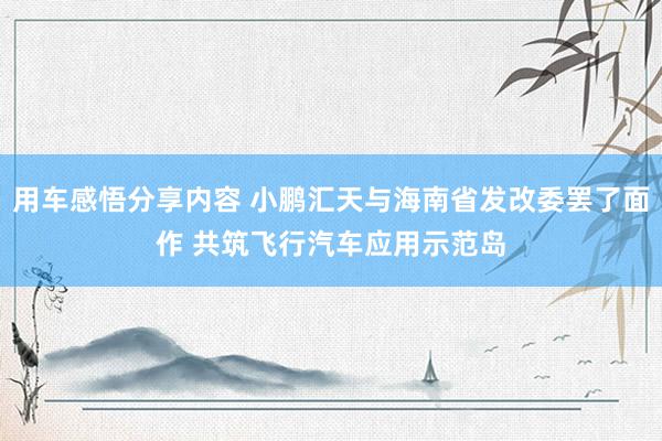 用车感悟分享内容 小鹏汇天与海南省发改委罢了面作 共筑飞行汽车应用示范岛