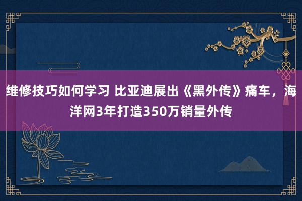 维修技巧如何学习 比亚迪展出《黑外传》痛车，海洋网3年打造350万销量外传