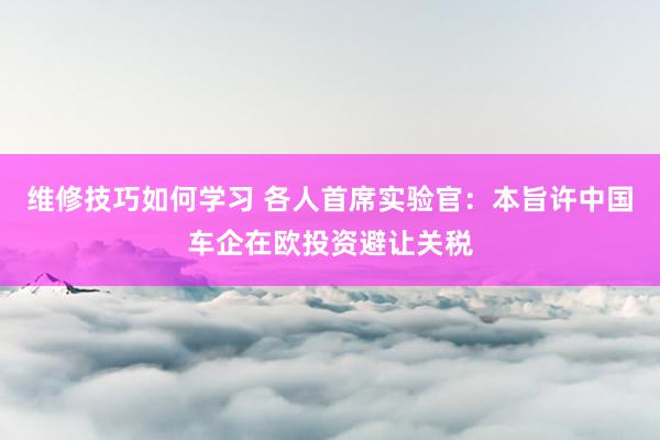 维修技巧如何学习 各人首席实验官：本旨许中国车企在欧投资避让关税