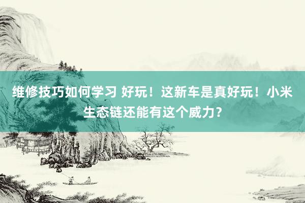 维修技巧如何学习 好玩！这新车是真好玩！小米生态链还能有这个威力？