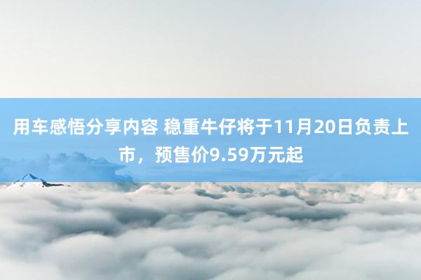 用车感悟分享内容 稳重牛仔将于11月20日负责上市，预售价9.59万元起