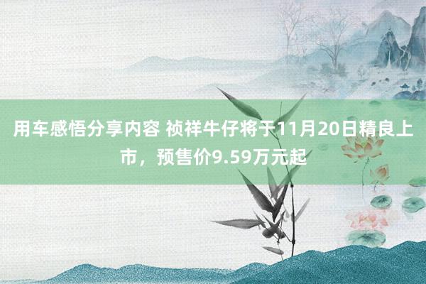 用车感悟分享内容 祯祥牛仔将于11月20日精良上市，预售价9.59万元起